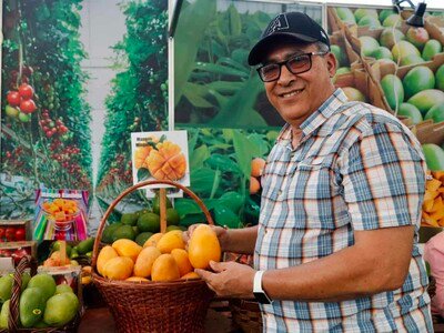 Mango Mingolo destaca en Feria del Mango Baní