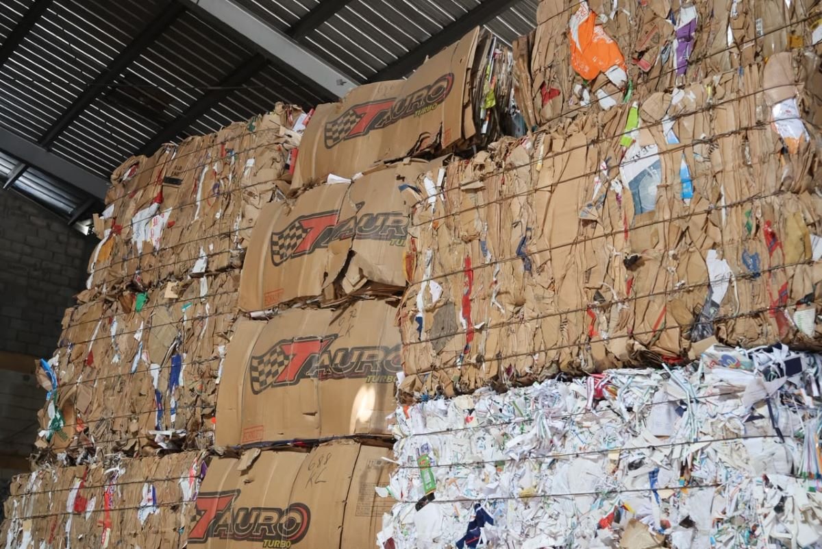 De desecho a oportunidad: emprendedores dominicanos que convierten la basura en negocio