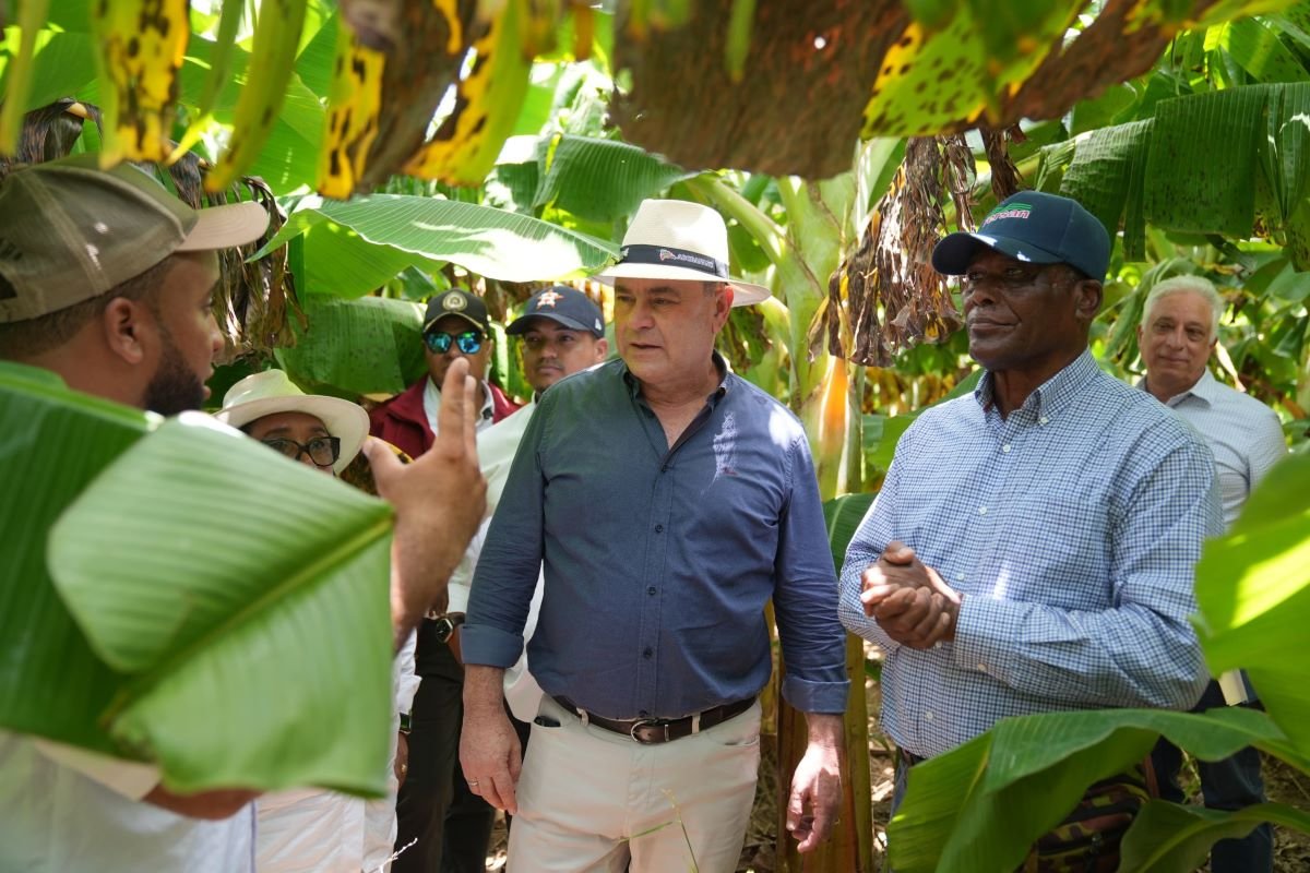 El Ministerio de Agricultura designa a Luis Terrero para reactivar Prodejav en Pedernales