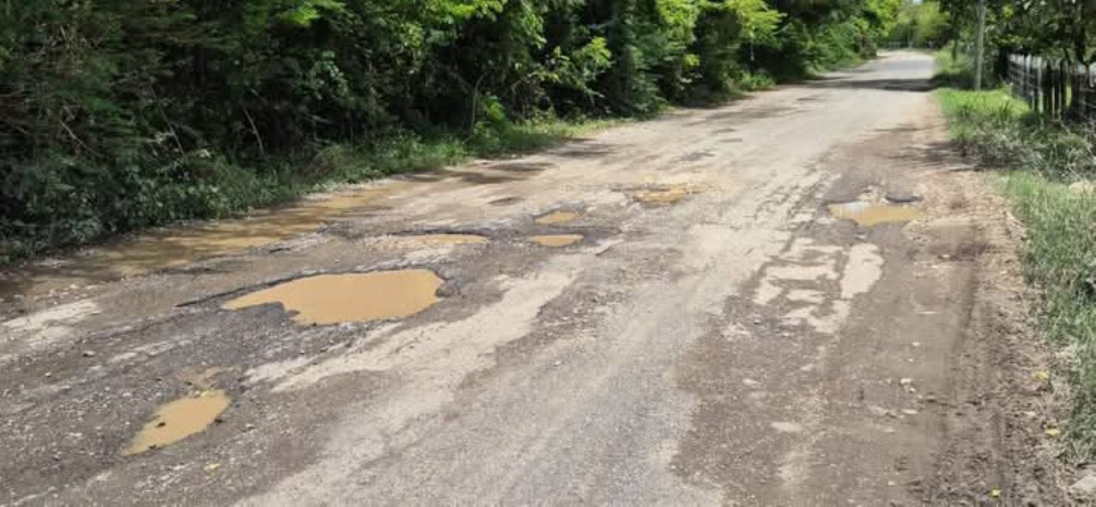 El 61.6% de los proyectos de inversión pública en Puerto Plata aún no se han ejecutado