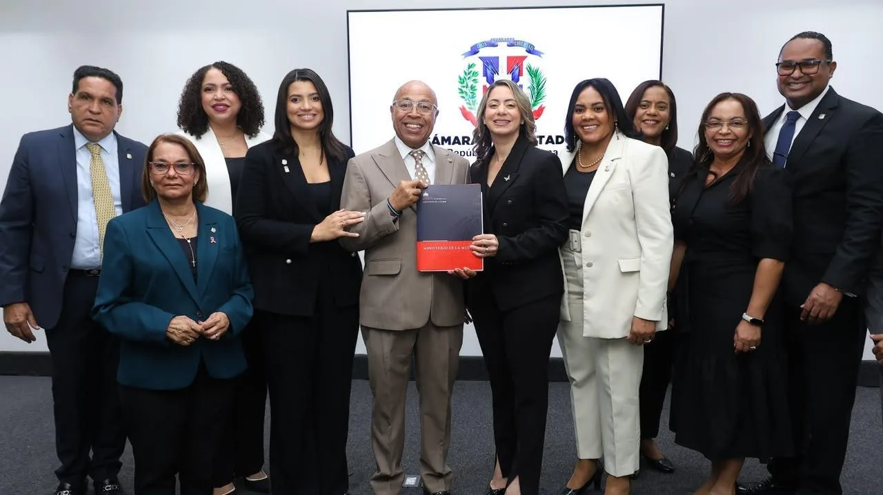 La Cámara de Diputados crea comisión para analizar la Ley Mirabal impulsada por Kimberly Taveras