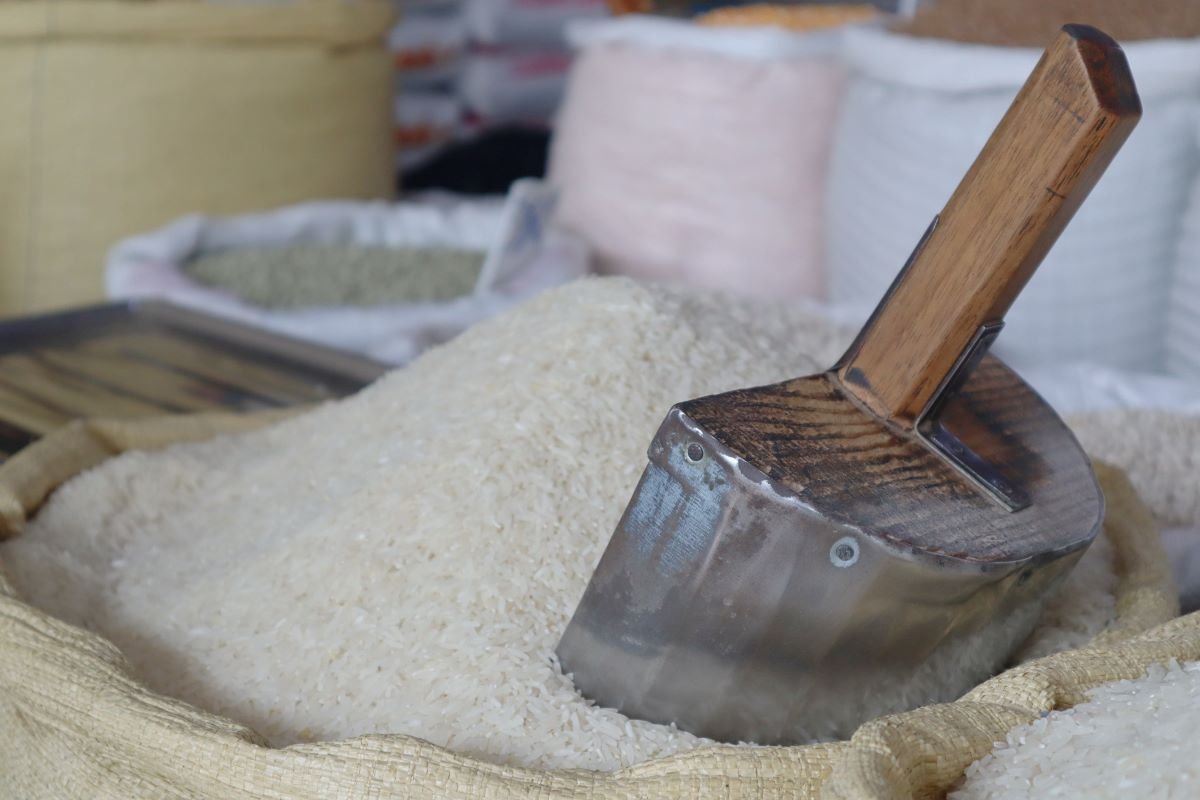 El costo de producción de una libra de arroz se sitúa entre RD$24 y RD$26, según arroceros